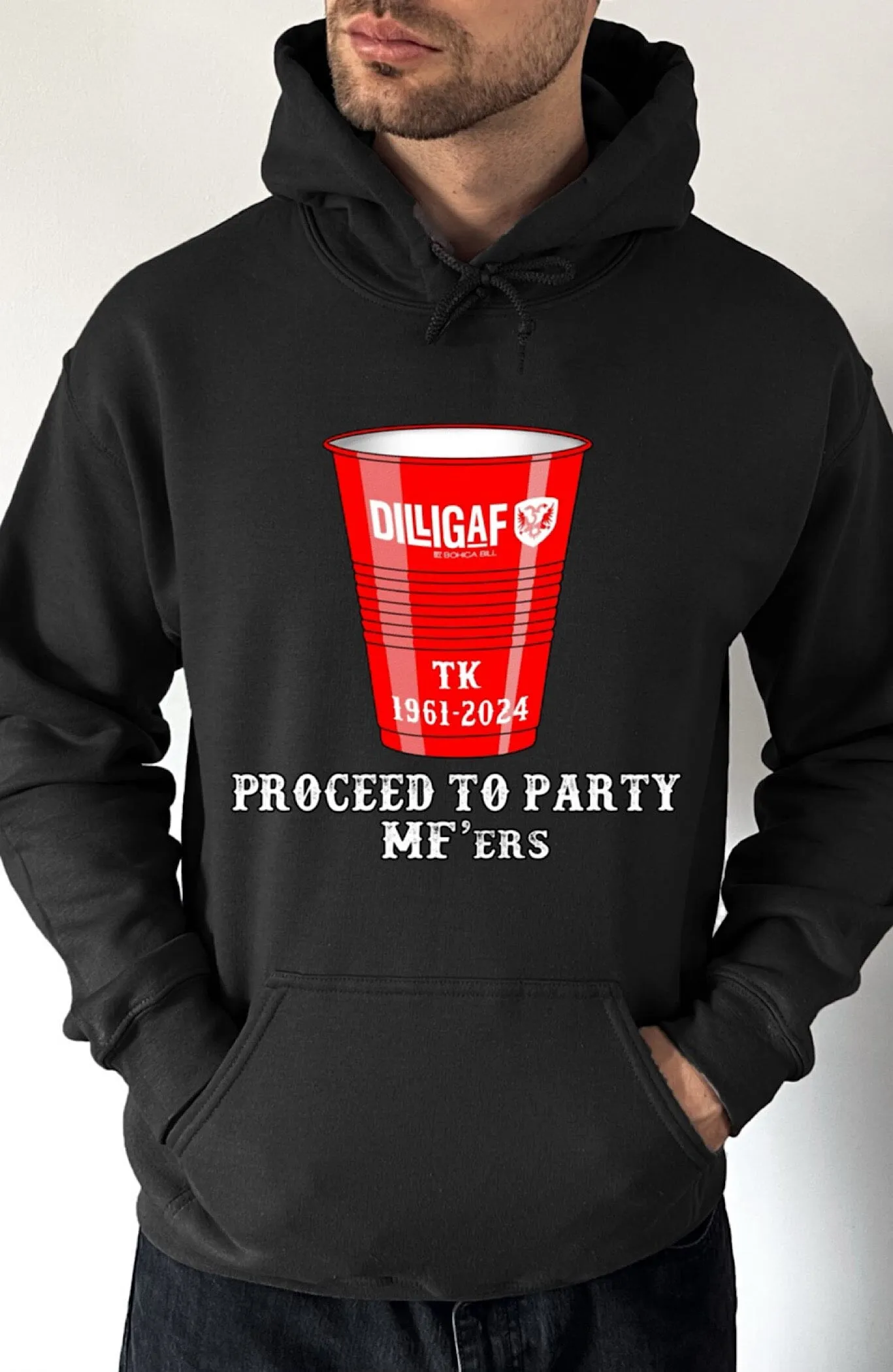 Proceed To Party Pullover Hoodie