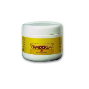 PROTECTIVE CREAM DERMOCREMA 250 ML.