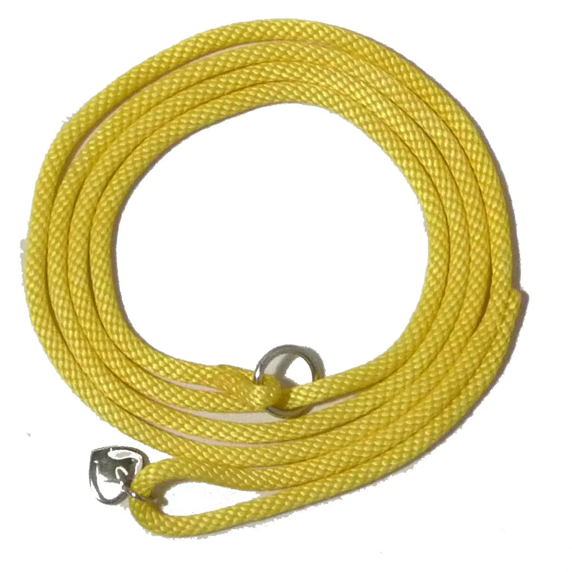 Slip Leads Shoestring 80"